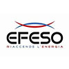 Research and development: Efeso