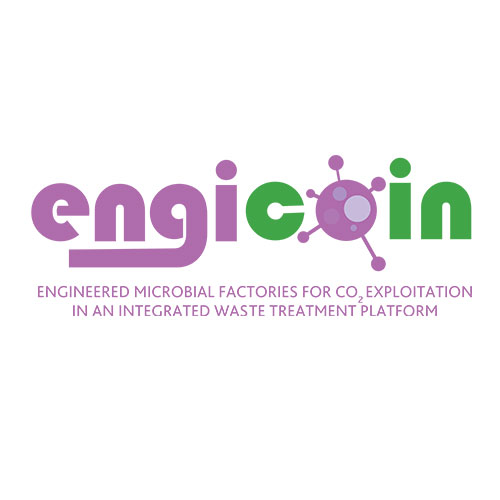 Research and development: Engicoin